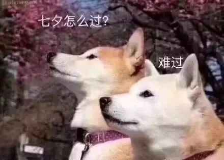 企业文化-金卡智能集团 | 中国领先的数字能源产品与解决计划提供商